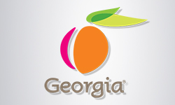 Georgia Procurement Registry