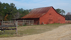 Enduring Farmlands