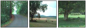 Ridge and Valley