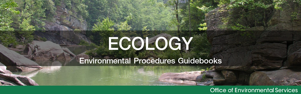 EcoBanner.png