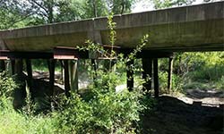 Local Bridges